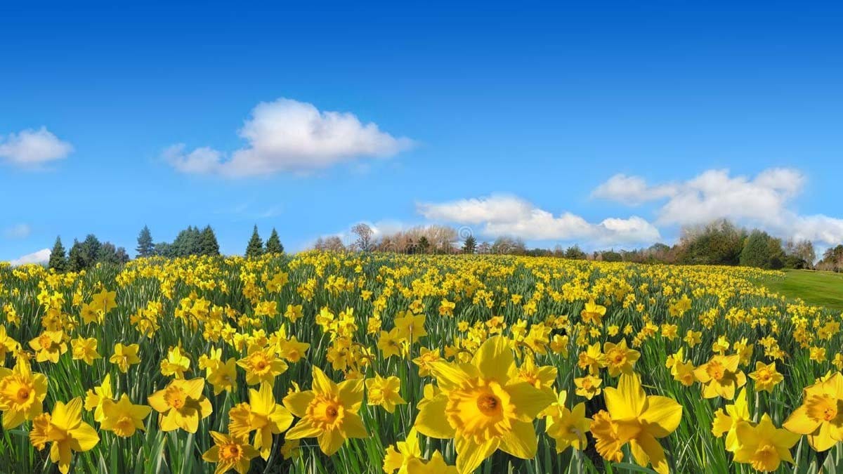 agriculture-machinery-equipment-technology-in-india-shop-it