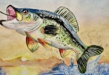 The Fish